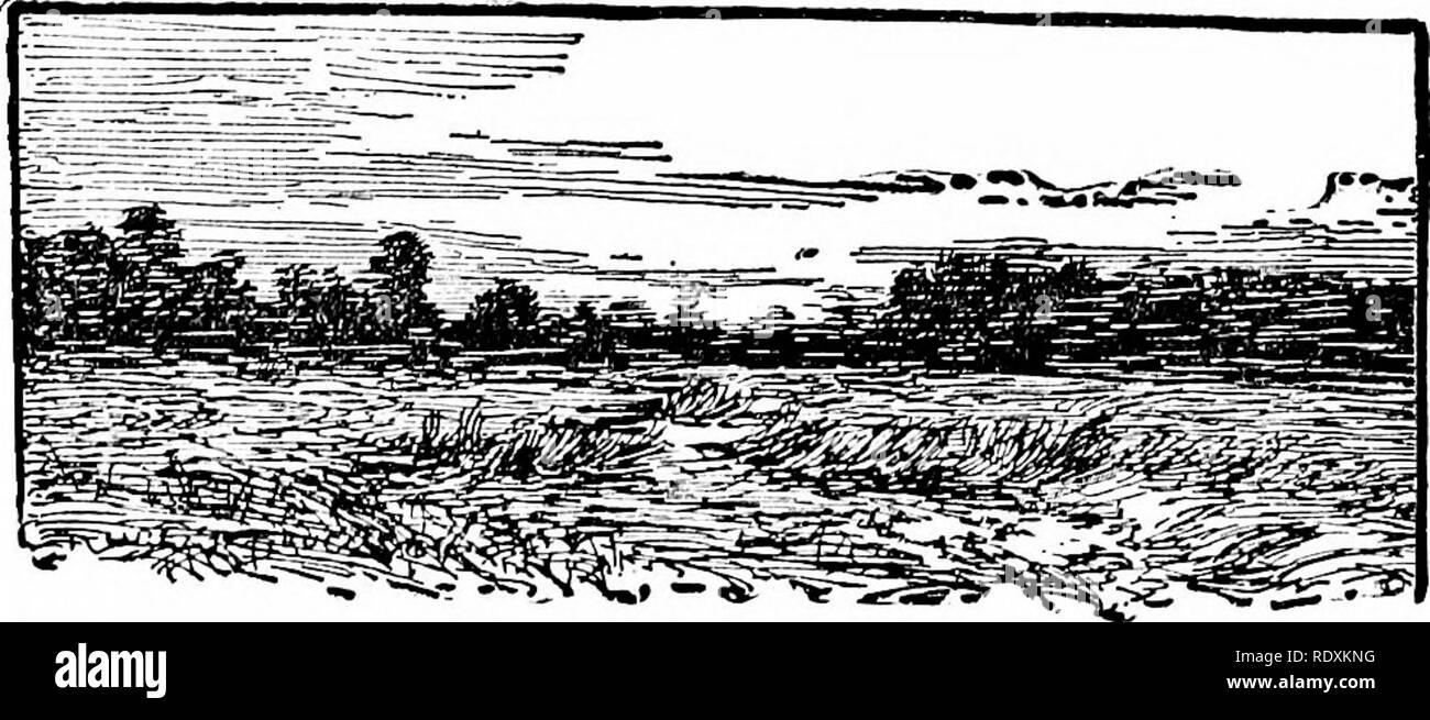 . La disposizione del terreno. Storia naturale. VI la neve aveva fuso dal fiume prati, leav- li ing appiattita, sbiadito e colorate con fango,-un opaco, deprimenti rifiuti in grigio a febbraio. Mi sono fermato accanto a un piccolo fascio di ossa che i laici nell'erba aggrovigliati di una decina di metri da un fossato. Qui, mostrano ancora- ing, era il sentiero stretto lungo il quale le ossa aveva trascinato stessi; c il foro da cui avevano lasciato il scavano nella banca del fosso. Essi aveva strisciato fuori in questa vecchia pista, quindi spento un po' nell'autunno pesante di erba e di cui essi verso il basso. Le piogge era venuto e l'inverno sno Foto Stock