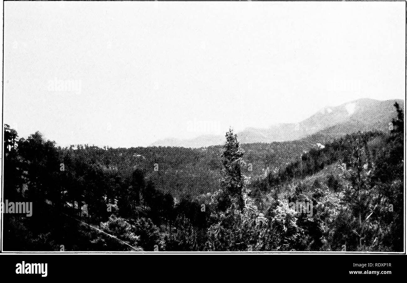 . La vegetazione di un deserto mountain range come condizionata da fattori climatici. Le piante del deserto. A. guardando verso nord-ovest dal crinale principale verso Samaniego Ridge.. B. guardando ad est lungo la cresta principale di Santa Catalinas da un punto ad est del monte Lemmon a circa 8.600 piedi.. Si prega di notare che queste immagini vengono estratte dalla pagina sottoposta a scansione di immagini che possono essere state migliorate digitalmente per la leggibilità - Colorazione e aspetto di queste illustrazioni potrebbero non perfettamente assomigliano al lavoro originale. Shreve, Forrest, 1878-1950. Washington, D. C. , Carnegie Institution di Washington Foto Stock