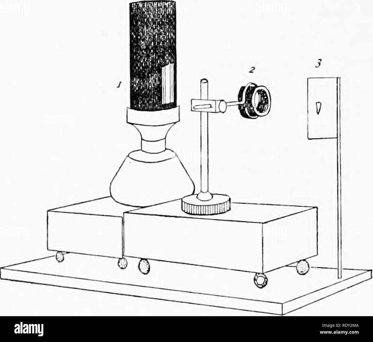 . Il microscopio; un'introduzione ai metodi microscopici e istologia. Microscopi; 1899. 200 PI 10-MICROFOTOGRAFIA V. {CH. VIII. cerchio, i. e. il diaframma dell'oculare, è forte, l'immagine risultante non sarà soddisfacente. Quando il diaframma è a fuoco sullo schermo, il microscopio è focalizzata esattamente come se non fossero oculari presenti, prima a occhio nudo poi con il vetro di focalizzazione ; l'oggetto dovrebbe essere a fuoco all'inizio.. Fig. 157. Disposizione di illuminazione artificiale. /. La"ip con camino in metallo, facilmente realizzato mediante laminazione fino alcune piastra ferrotype un Foto Stock