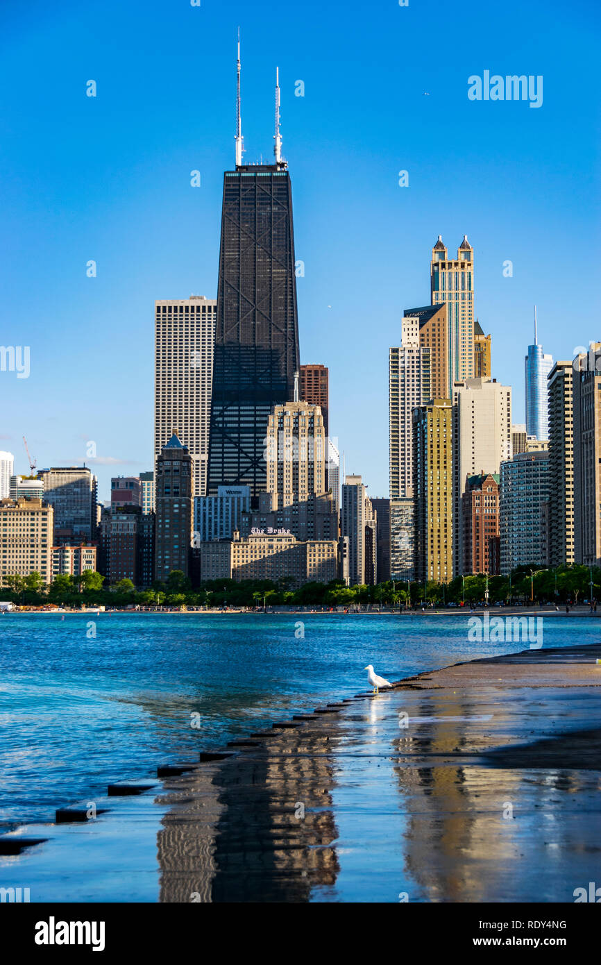 Chicago, IL, Stati Uniti - 3 Giugno 2018: Colpo di sullo skyline di Chicago come visto da nord Ave Beach. Foto Stock