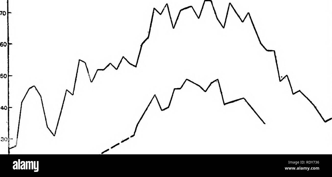 . La vegetazione di un deserto mountain range come condizionata da fattori climatici. Le piante del deserto. 78 VEGETAZIONE OP un deserto Mountain Range. altrettanto bene i dati su cui basare una stima del gradiente come media delle temperature sarebbe. Poiché le cifre utilizzate per costruire il gradiente erano garantiti in tutti i mesi da aprile a ottobre, da diversi anni e in una vasta diversità di località-tutti al di fuori dell'influenza del freddo-aria di drenaggio è probabile che il gradiente qui presentato, figura 16, è all'interno di uno o due gradi della stessa misura di precisione che può essere fissata con una lunga serie di Foto Stock