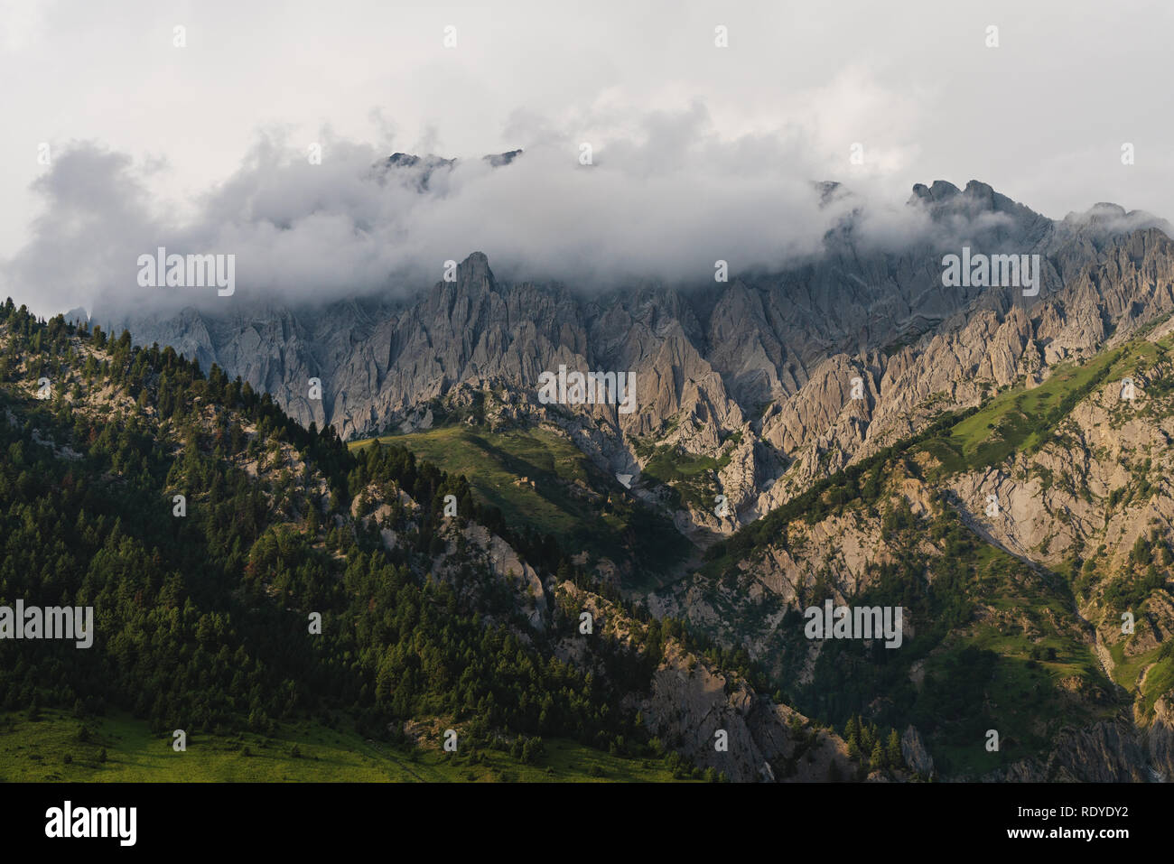 Paesaggio di montagna con il verde della foresta e le nuvole sulla cima della montagna di mattina Foto Stock