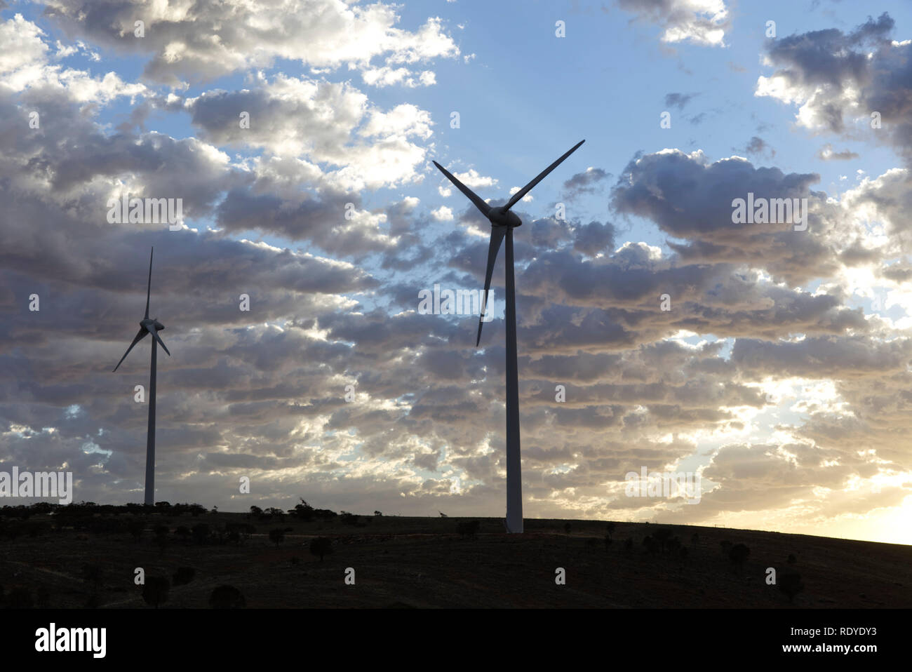 La generazione di verde a basso cardon elettricità al Mt Millar Wind Farm vicino Cleve Eyre Peninsula South Australia. Foto Stock