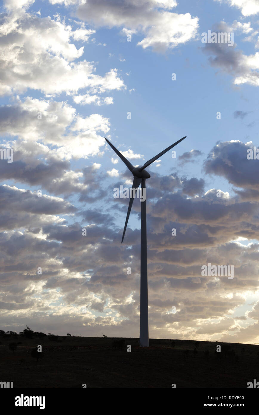 La generazione di verde a basso cardon elettricità al Mt Millar Wind Farm vicino Cleve Eyre Peninsula South Australia. Foto Stock