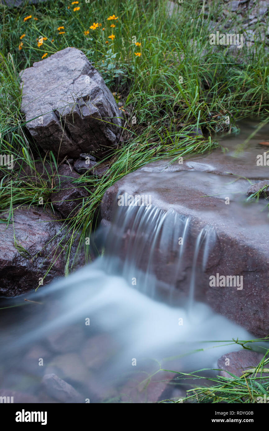 L'acqua fluisce fuori di Soledad Canyon, formando un oasi nel deserto al di fuori di Las Cruces, Nuovo Messico Foto Stock