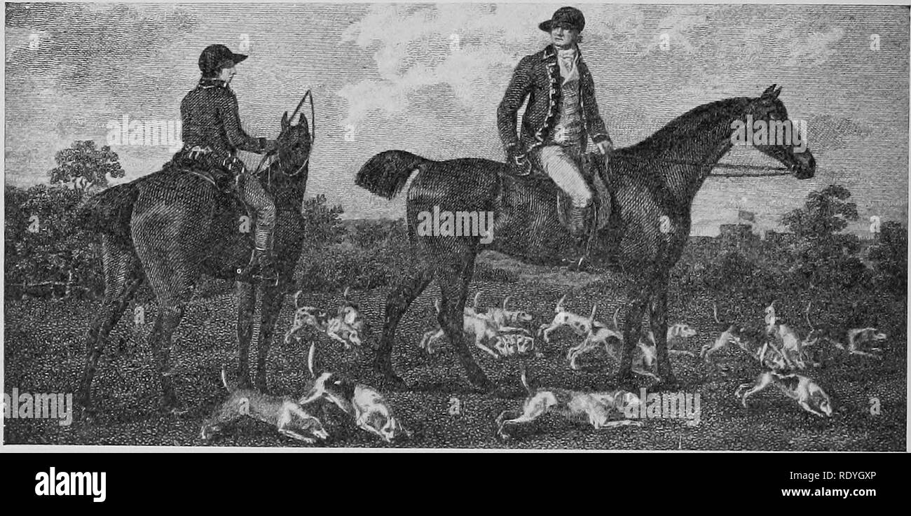 . Il libro di cane. Una storia popolare del cane, con informazioni pratiche di cura e gestione della casa, kennel, e mostra i cani; e le descrizioni di tutte le importanti razze. I cani. HARRIER da Daniel's "sport rurali", 1802 Carità un premio harrier, la proprietà di Capt. N. Barton, di Hasketon, Woodbridge. Dopo un dipinto di E. Corbet. HARRIERS DI SUA MAESTÀ GEO. III. Da un dipinto di B. Marshall. Si prega di notare che queste immagini vengono estratte dalla pagina sottoposta a scansione di immagini che possono essere state migliorate digitalmente per la leggibilità - Colorazione e aspetto di queste illustrazioni possono Foto Stock