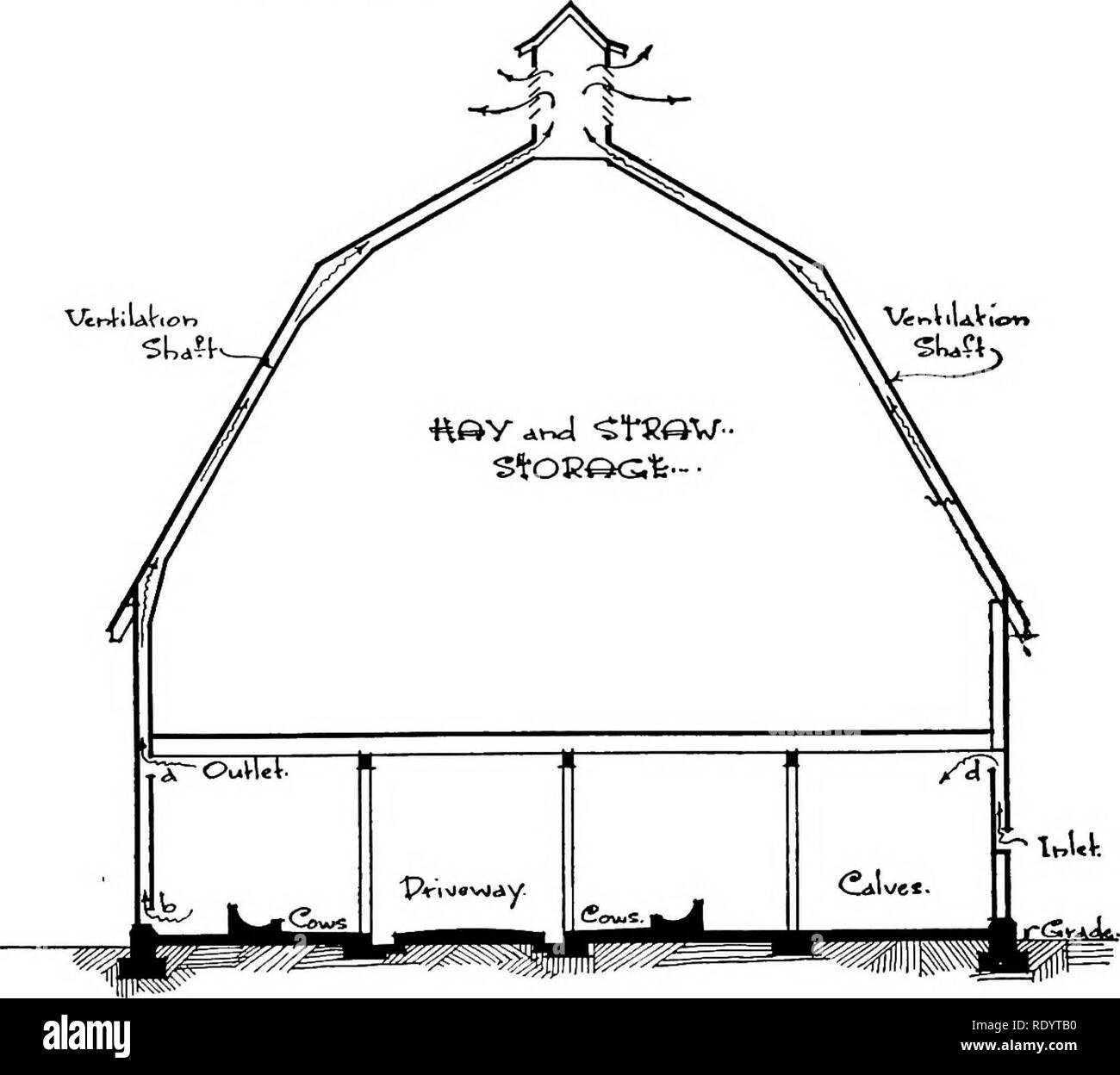 . Produttività dairying . La produzione di latte. La posizione della canna fumaria 185 di stagno o di ferro galvanizzato, essere ricoperto con le schede. Questo insula- zione è quello di evitare che l'aria fredda del fieno loft da così il raffreddamento in uscita aria come per controllare e ruotarla verso il basso. Gli ingressi d'aria devono essere più piccoli e in numero maggiore rispetto alle bocche di uscita. Essi sono costituiti da alberi più brevi attraverso cui l'aria deve salire prima di entrare nel fienile.. gJe-MTifnr Fig. 64,-elevazione Woodland Dairy Farm Barn. Nota sistema di ventilazione. a, l'uscita in estate; b, uscita in Tdnter; e d entrata in corrispondenza di tutti i tempi. Anche la sporcizia-stretto piano durante il Foto Stock
