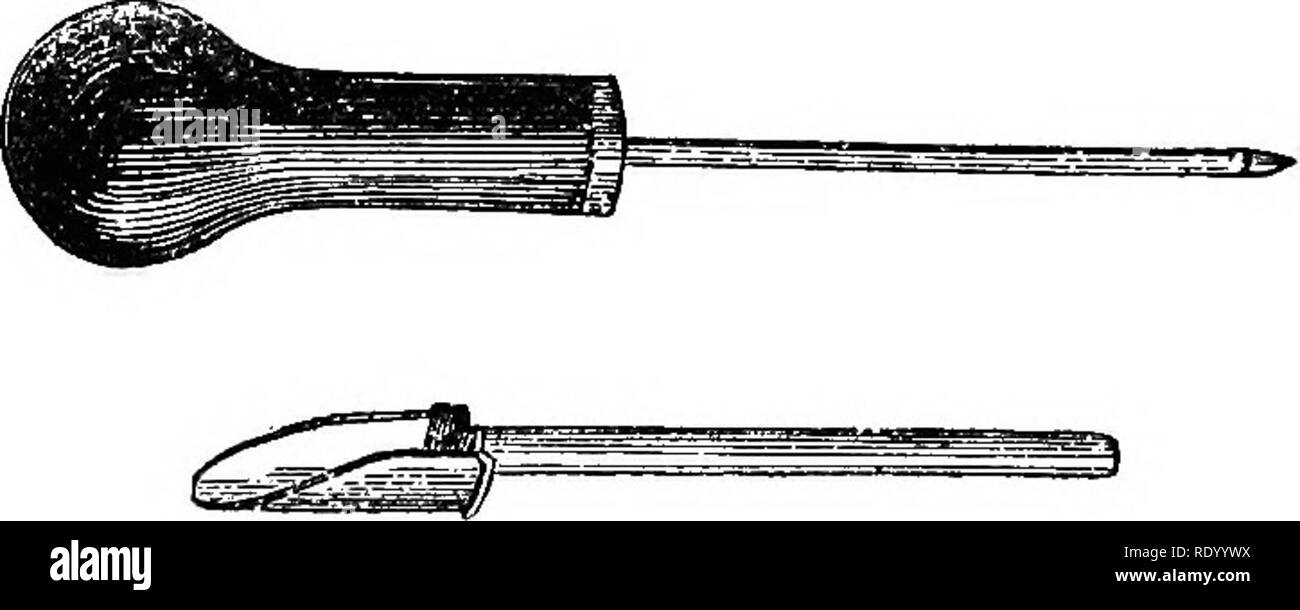. Manuale operativo di chirurgia veterinaria. Chirurgia veterinaria. 14:0 operazioni elementari. Impugnatura in appoggio sul dorso della mano con le dita leggermente flesse. Il giunto, portato vicino alla pelle, e perpendicolare ad essa, è spinta dalla estensione delle dita attraverso il tegumento e tessuti sottostanti e poi trafilate perpendicolarmente, ONU- meno è desiderabile iacrease la dimensione della incisione, quando la divisione è effettuata estendendo l'Incisione dall'interno verso l'esterno. Foratura toith il rettilineo Bistoury.-l'bistoury, per questo scopo deve essere finemente appuntite e taglienti. Tenuto come un wri Foto Stock
