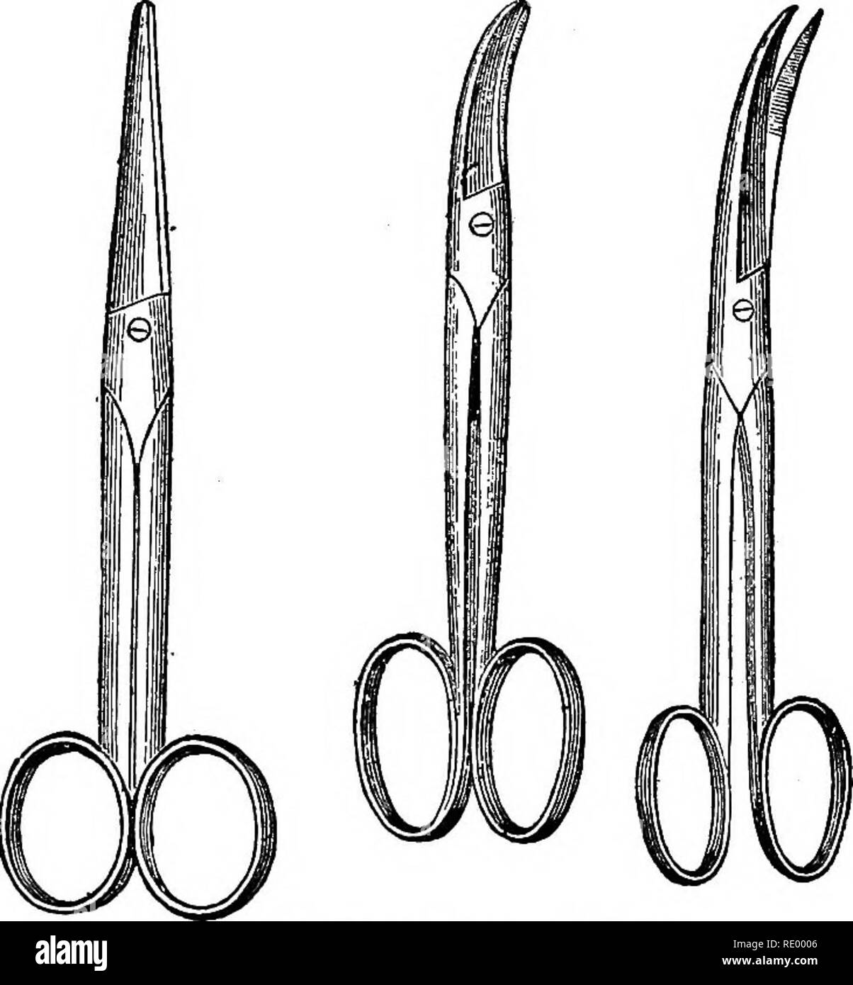 . Manuale operativo di chirurgia veterinaria. Chirurgia veterinaria. 128 operazioni ELEMENTABY.. Fig. 153.-VariouB forme delle forbici. posizioni, secondo le circostanze, come si deve procedere per rilevare e classificare i. 1st. Tenuto come un iscritto penna.-che è con la maniglia in appoggio sul dorso della mano, il pollice, indice e medius dito su ciascun lato della lama, le altre due dita in appoggio sulla pelle. Figg. 154 e 155.-Bistoury tenuto come una penna. In questa posizione il bordo della lama può essere ruotato o down- ward o verso l'alto. La divisione menzionata da Gourdon, con le dita estese o Foto Stock