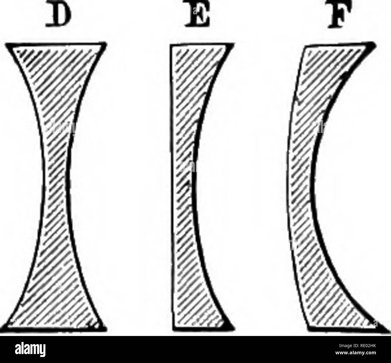 . La fisiologia degli animali domestici; un libro di testo per i veterinari e gli studenti medici e professionisti. Fisiologia, confronto; gli animali domestici. Fig. 374.âAction di una lente convessa sulla luce. (Landois.) I. ! -. ,N m, chief asse â , O, centro ottico rays (&GT;i Â") passando attraverso questo centro sono i raggi principali e non vengono rifratti. II. Raggi paralleli sono raccolti in corrispondenza di un fuoco,/. /O essendo la distanza focale. III. Raggi divergenti da un punto, h, sul capo di tale asse, entro la distanza focale, passano al di fuori dell'altro lato della lente meno divergenti, ma non giungono ad una messa a fuoco. IV. Raggi da un s Foto Stock