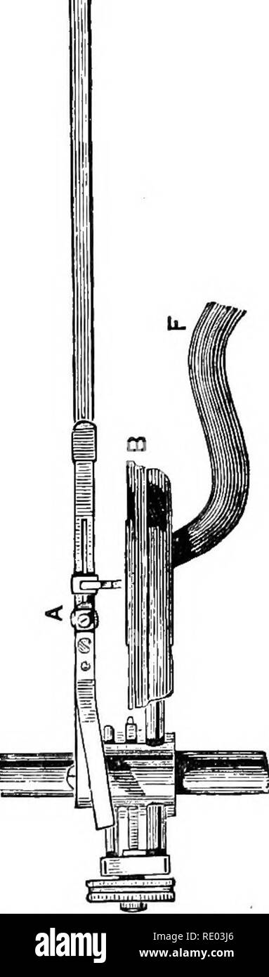 . La fisiologia degli animali domestici; un libro di testo per i veterinari e gli studenti medici e professionisti. Fisiologia, confronto; gli animali domestici. Fig. 199.-Sanderson's elettrocardiografo.. Si prega di notare che queste immagini vengono estratte dalla pagina sottoposta a scansione di immagini che possono essere state migliorate digitalmente per la leggibilità - Colorazione e aspetto di queste illustrazioni potrebbero non perfettamente assomigliano al lavoro originale. Smith, Robert Meade, 1854-. Di Philadelphia e a Londra, F. A. Davis Foto Stock