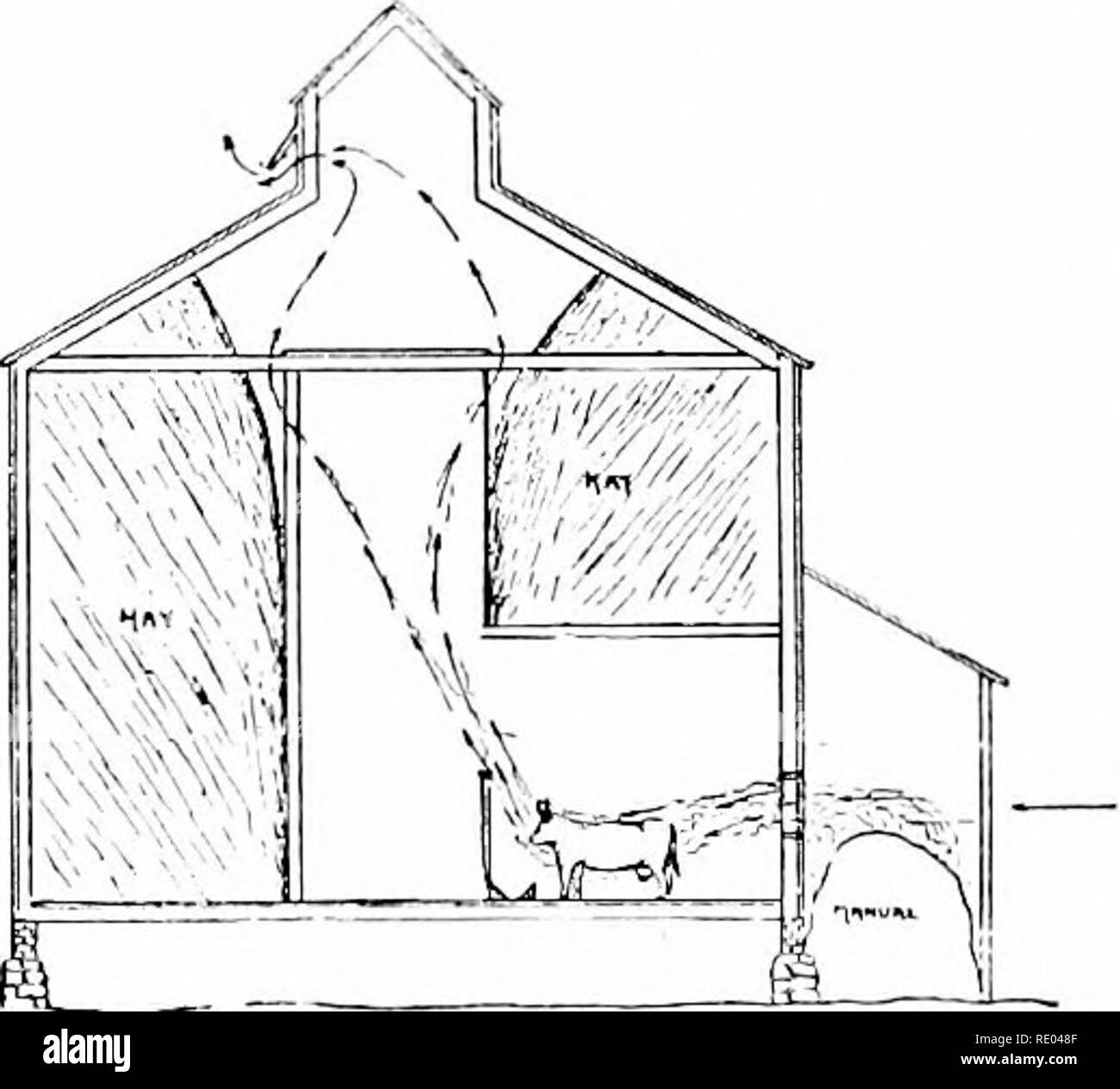. Studi veterinari per studenti agricoli. Medicina veterinaria. ah FIG. 41. La ventilazione. (PAIGE.) uscita con troppe angolazioni. Mucca riceve aria di aspirazione dal mucchio di letame. Vento.-La forza del vento è probabilmente il più im- portant uno di questi fattori, e deve sempre essere presi in con- sideration nella pianificazione di ventilazione o in matematica le stime della quantità di aria necessaria. Naturalmente è irregolare, ma scel- zioni possono essere realizzati in impianti di ventilazione per compensare questo. Un punto fondamentale nell'utilizzo di questo fattore è quello di vedere che l'aria in entrata non passano al di sopra o attraverso un Foto Stock