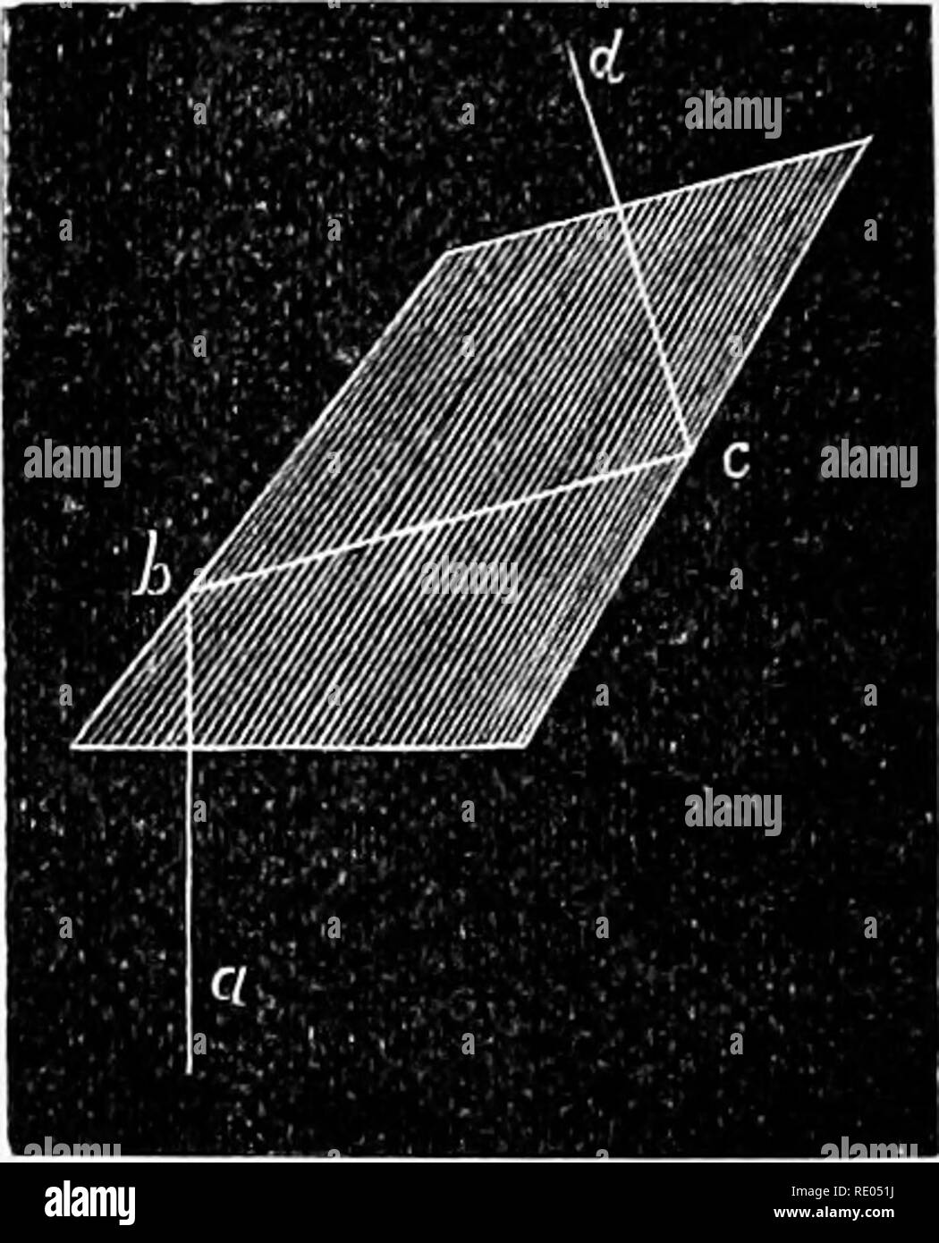 . Il microscopio : introduzione ai metodi microscopici e istologia. Microscopi. 103 104 La Fig. 103. Vista in sezione della Wenham il microscopio binoculare, a. Tin- prisma che e a-si presta in parte attraverso il campo e dirige circa metà della luce per l'occhio sinistro (L). Una parte della luce si estende direttamente all'occhio destro (R). c, b. Lenti campo della destra e della sinistra oculari. Fig. 104. Un allargamento del prisma utilizzato in H'enham microscopio binoculare, a, b, e d rappresentano il corso del raggio per l'occhio sinistro. Essa viene riflessa internamente in corrispondenza dei punti /&GT;, c e dato il buon directi Foto Stock
