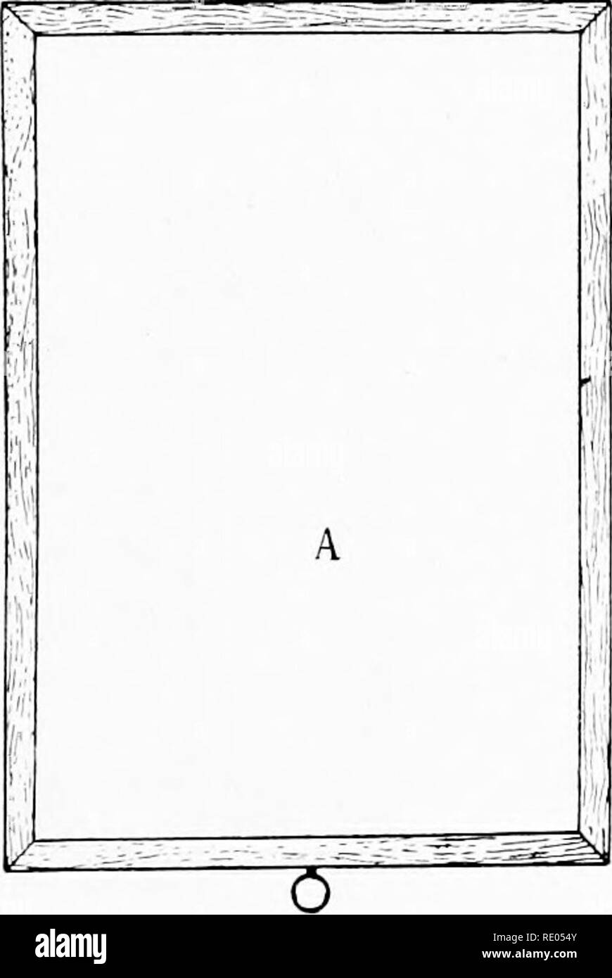 . Il microscopio; un'introduzione ai metodi microscopici e istologia. Microscopi. CH. VII] sezionamento in paraffina 187 estensione è quasi sempre realizzata sulla slitta stessa. Una diapositiva è albume- virtualizzato (I 290) e il nastro tagliato in pezzi brevi e collocato sulla slitta. Acqua distillata o acqua filtrata viene poi addizionata con una pipetta (Fig. 147) fino a quando le sezioni galleggiante. Quindi il cursore viene spostato avanti e indietro su un alcol o fiamma a gas per riscaldare l'acqua. Si deve avere cura di evitare la fusione della cera di paraffina. Come l'acqua si riscalda la paraffina contenente le sezioni appiattirà e stendi la. Uno wi Foto Stock