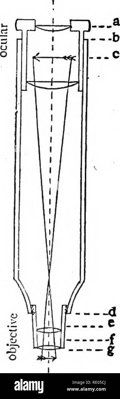 . Il microscopio : introduzione ai metodi microscopici e istologia. Microscopi. Microscopio e accessori [CH.Ho la lunghezza in millimetri e parti incluse nel " Tube-Length " da vari ottici. Pts. incluso in "tubo- "Tube-Length " in lunghezza in millimetri. Vedere lo schema. f Chas. Baker, Londra, Inghilterra 150 o 250 mm. Ho la Bausch. &Amp; Lomb Optical Co., Rochester, N. Y 160 mm. Ho R. &AMP; J. Beck, Londra, Inghilterra 160 o 220 mm. j B£zu, Hausser &AMP; CIE, Parigi, Francia 180 mm. Ho Klonne und Muller, Berlin, Germania 160 o 250 mm. h&amp; Regina &AMP; Co. Foto Stock