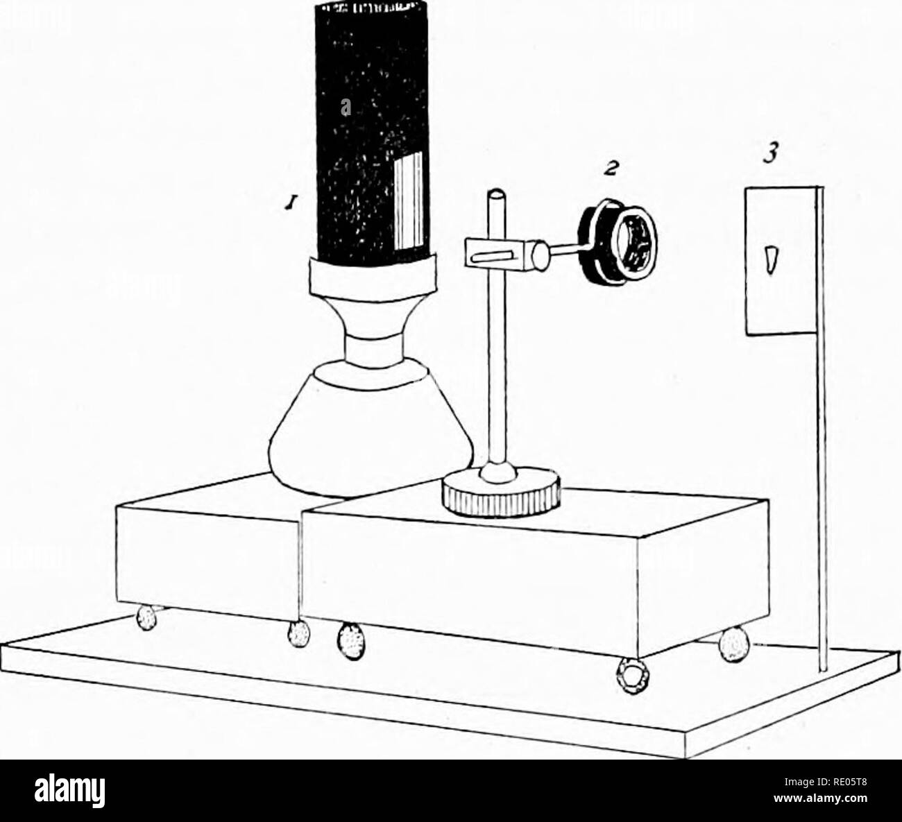 . Il microscopio; un'introduzione ai metodi microscopici e istologia. Microscopi. CH. Se] l'illuminazione e la focalizzazione 51 un fatto di metallo con una fessura-apertura coperta con un coperchio di forma oblunga- vetro è più soddisfacente, come la sorgente di luce è più limitato. Ottimi risultati possono essere ottenuti, tuttavia, con il letto normale-luce stanza arredata con il consueto camino in vetro. La nuova luce di acetilene promette di essere . eccellente per micro- scopic osservazione e per il foto-microfotografia}-. (Vedere sotto foto- micrografia.). Fig. 53. 1. Lampada a fessura-apertura nel camino in metallo. 2. Occhio di bue su indotta Foto Stock