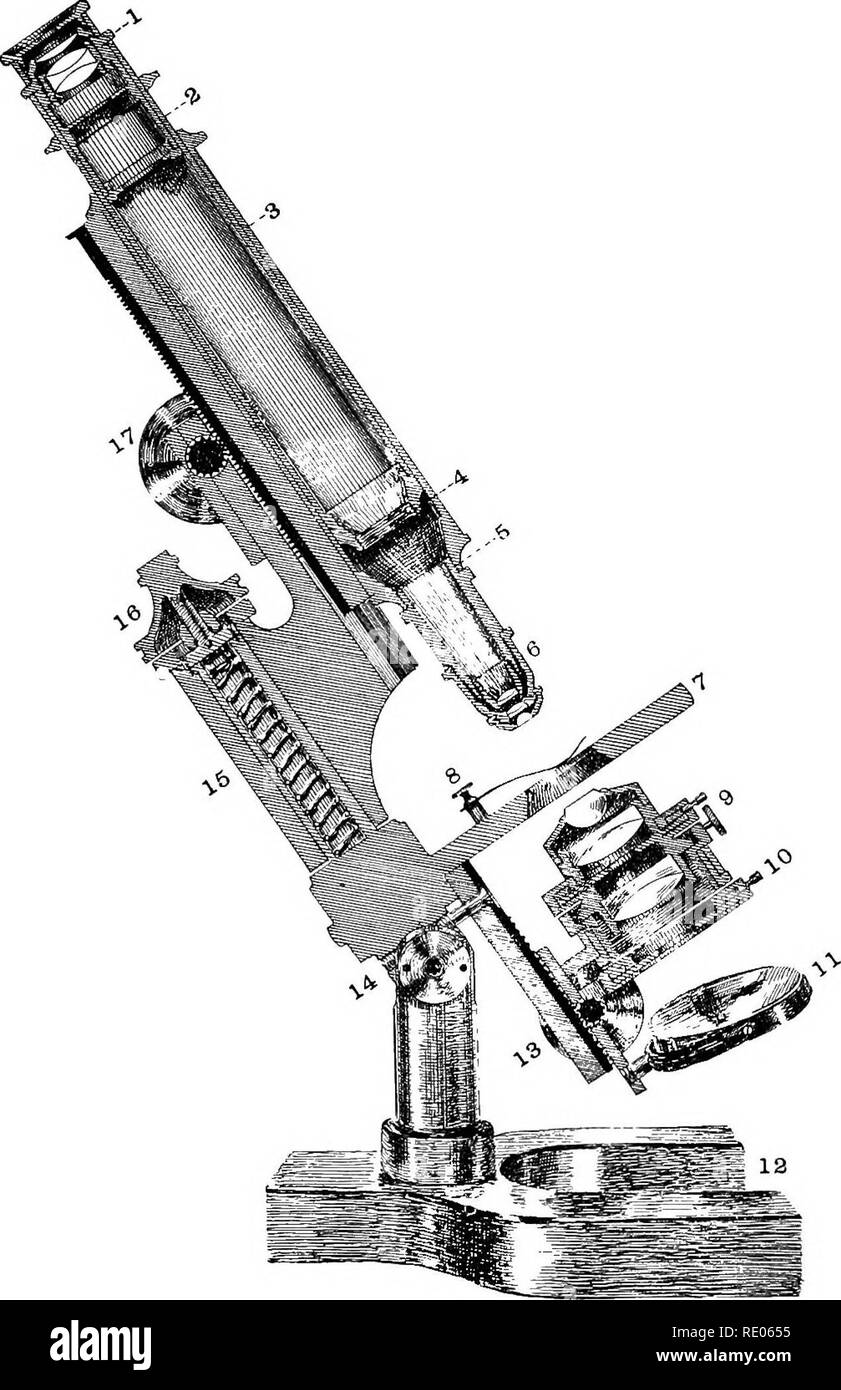 . Il microscopio e metodi microscopici. Microscopi; 1896. Il microscopio nella sezione. i. Il risarcimento ocvitar â 12; si tratta di un positivo oculare. -&Gt; disegnare-tubo, mediante il quale il tubo viene allungato o accorciato. 3. Tubo principale o corpo, all'estremità inferiore del quale l'obiettivo o girevoli di muso è allegata. 4. Vite di società nell'estremità inferiore del cassetto-tubo. 5. La società la vite nella parte inferiore del tubo. 6. Obiettivo in posizione. 7. Stadio, al di sotto del quale è la sottofase con la sottofase condensatore. R. Il fermaglio a molla per trattenere il campione. 9. La vite di centraggio e la maniglia del diaframma di iride in Foto Stock