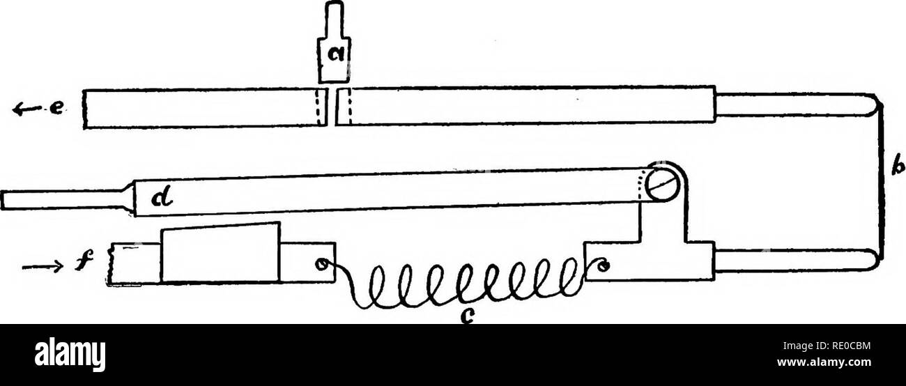 . Le foche e pelliccia-tenuta isole dell' oceano Pacifico settentrionale. Tenuta; guarnizioni (animali). 334 Le foche OP LE ISOLE PRIBILOF. Il reostato a mano per cui la cauterizzazione filo era fissata nella sua forma finale, semplicemente una bobina di filo di ferro in corto circuito da un pesante braccio di leva e il tappo "tagliare" inserita in serie con il filo. Le connessioni sono state come rappresentato nella figura: un tappo, ritagliare; b, filo di cauterizzazione; C, filo di ferro resistenza; f1, il braccio di leva; e e /, terminali per essere collegato alla dinamo. Dopo la dinamo di bassa tensione è stato completato un ciclo di 5 ore è stato realizzato con th Foto Stock