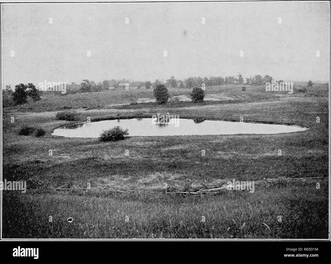 . La vita di acque interne; un testo elementare libro di fresco-acqua biologia per studenti americani. Biologia di acqua dolce. 62 tipi di ambiente acquatico barriera di pietra che trattiene il Lago Erie. Alle Cascate del Niagara è compiere progressi al tasso di circa cinque metri di un anno. Poiché il periodo glaciale ha tagliato indietro dalla riva del lago Ontario una distanza di circa diciassette miglia, e se il processo continua sarà in tempo vuoto il Lago Erie.. Fig. 13. Evans' sul lago Michigan; un lago nel processo di essere riempito da sconfinare- mento delle piante. Una linea di palude loose-liti (Decodon) conduce l'invasore shore veg Foto Stock