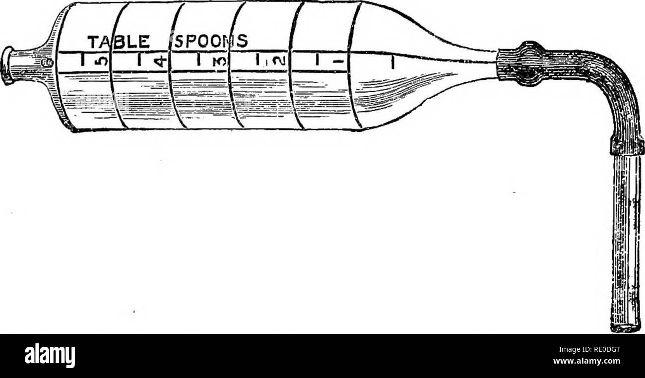 . Le malattie dei cani e delle loro cause, i sintomi ed il trattamento a cui vengono aggiunte istruzioni per i casi di lesioni e avvelenamento. I cani. 6 Malattie cani OP. Tubo di circa IJin. lungo. La bottiglia è gi-aduated e contrassegnati correttamente per mostrare le misurazioni di cucchiaini e cucchiai, di modo che in caso di un numero di pazienti che richiedono di essere inzuppato- dire, con un cucchiaio da tavola ogni sei possono avere la loro dose assegnato dato senza ri-misurazione o ri-riempimento della bottiglia.. Fig. 2. Dalziel la misura e Drencher per dare le medicine ai cani. Durante il riempimento della bottiglia, il tubo flessibile viene raddoppiata fino a indietroe Foto Stock