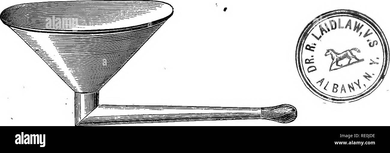 . Malattie &AMP; disturbi del cavallo, un trattato di medicina equina e chirurgia, essendo un contributo alla scienza della patologia comparata. I cavalli. 71 duller, la bocca diventa viscido, il respiro forse fetida, fino a lungo egli può tenere fuori non più e la morte mette fine alla sua sofferenza. La mortalità in enterite varia dal 45 al 65 per cento. Se, come avviene in alcuni rari casi, i sintomi acuti abate dopo un lasso di tempo di poche ore, e l'impulso che riguadagna in qualche misura il suo carattere normale, diventando fuller, più morbido e più lenta, vi è una grande speranza di recupero. Nella forma di en Foto Stock