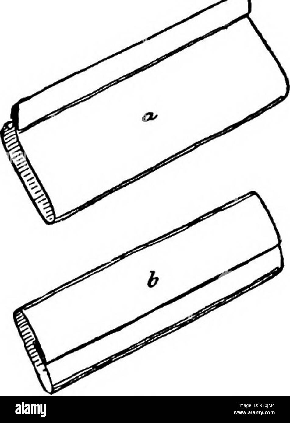 . Pratico di farmacologia veterinaria e terapeutici. Medicina veterinaria. 20 farmacia lati opposti e piega uniformemente in scatole di imballaggio. Piegare questa piega su sé stesso. Quindi chiudere temporaneamente una estremità. Stand pacchetto su questo fine e attentamente di cordonatura e di ripiegare le estremità opposte di distanza dalla falda. Il pacchetto viene quindi invertita, l'altra estremità ^ii'l^''IG. -Y 1 e Fig. 4.- la piegatura dei pacchetti. (Riprodotto con l'autorizzazione, da Amy i principi di farmacia. Saunders e Co.) pubblicato da W. B. riaperto e chiuso lo stesso come il primo. Tirante intorno ad entrambi i modi. Questo è simile alla piegatura di polveri e è Foto Stock