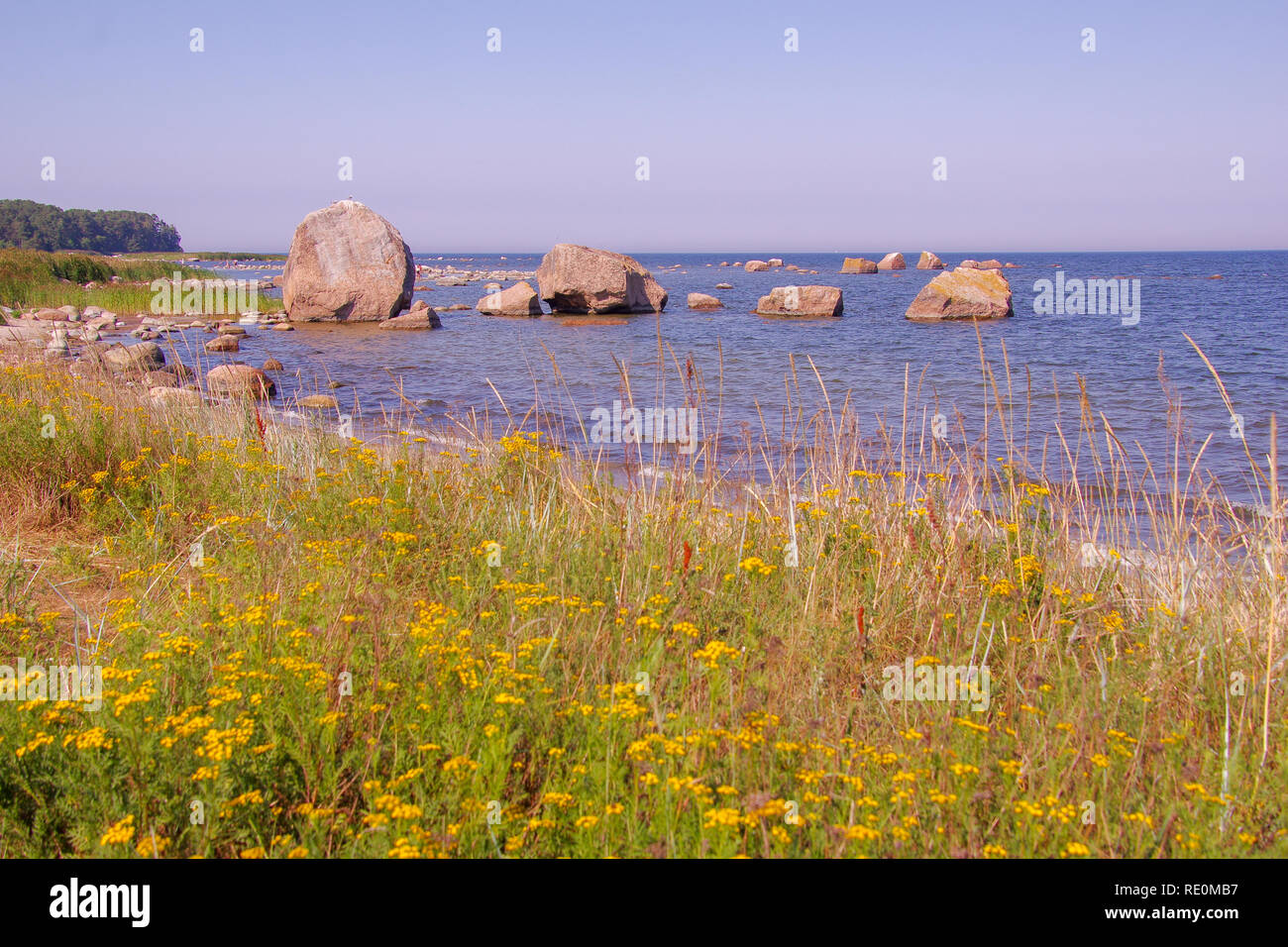 Estone, rocciosa costa incontaminata in Käsmu o Kasmu village Foto Stock