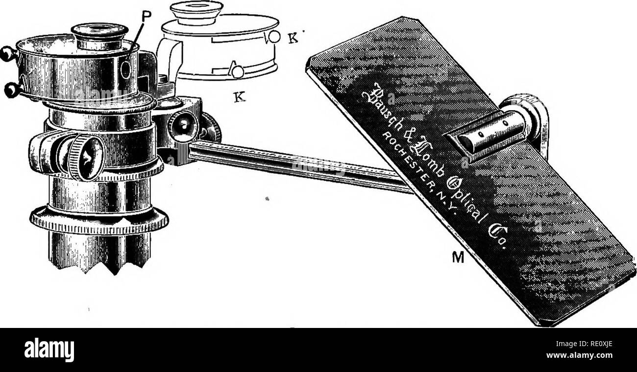 . Anatomia vegetale dal punto di vista dello sviluppo e funzioni dei tessuti, e manuale di micro-technic. Impianto di anatomia. 28o uso del microscopio dividendo i da .0225, che darebbe 44,4. Quindi il numero di stomata in un millimetro quadrato sarebbe 9 volte 44-4 = 399-6- l'altro metodo di disegno in scala viene effettuata con una macchina fotografica lucida, la più conveniente la cui forma è mostrata in Fig. 151. I principali dettagli strutturali di questo strumento sono, dietro l'apertura P un prisma argentato su una delle sue superfici tranne per una ristretta area circolare al centro; e il piano. Fig. 1 Foto Stock
