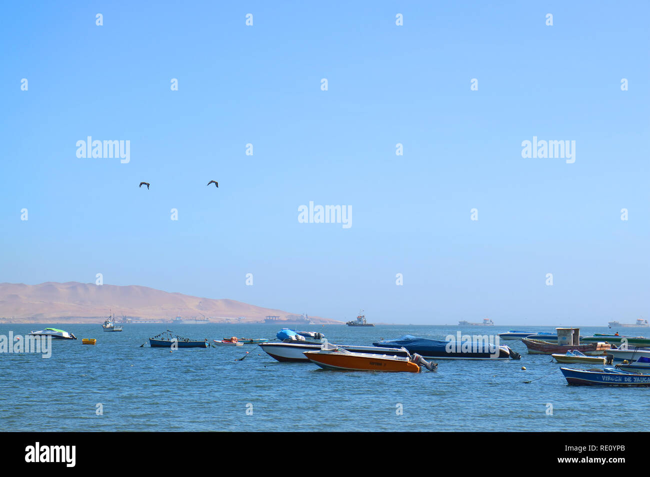 Due uccelli sorvolano molte colorate barche da pesca a Paracas bay, regione di Ica, Perù, Sud America Foto Stock