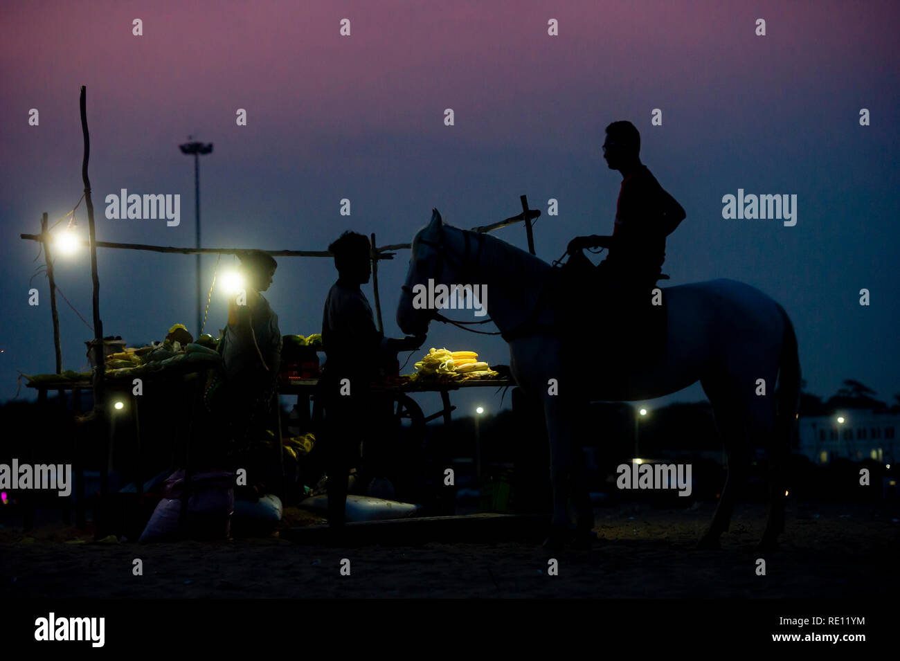 Un cavaliere a cavallo sulla spiaggia di Marina di Chennai al tramonto in un alimento in stallo Foto Stock