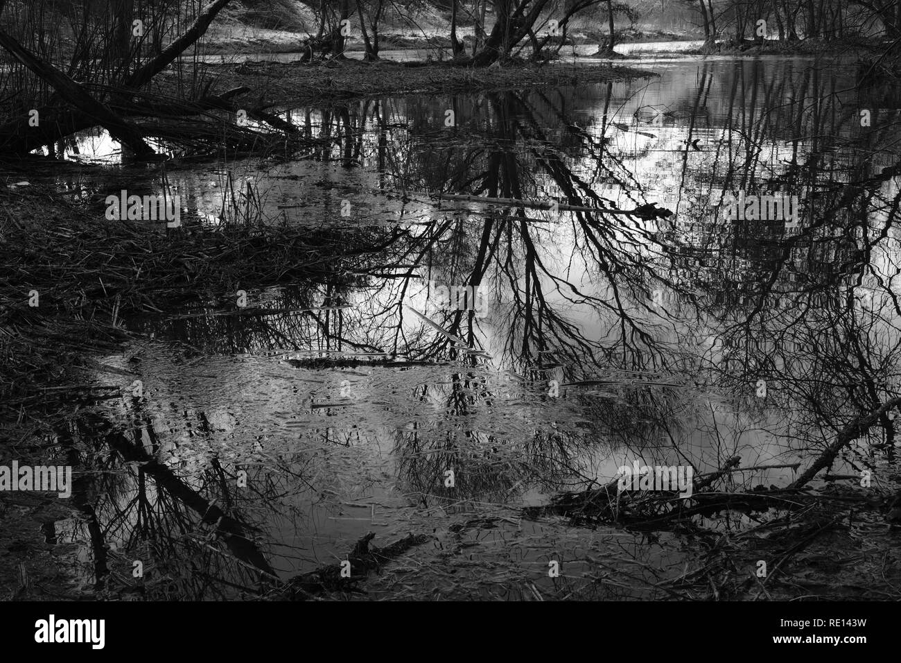 Alluvione del fiume durante il periodo invernale in area tedesca Sieg Foto Stock