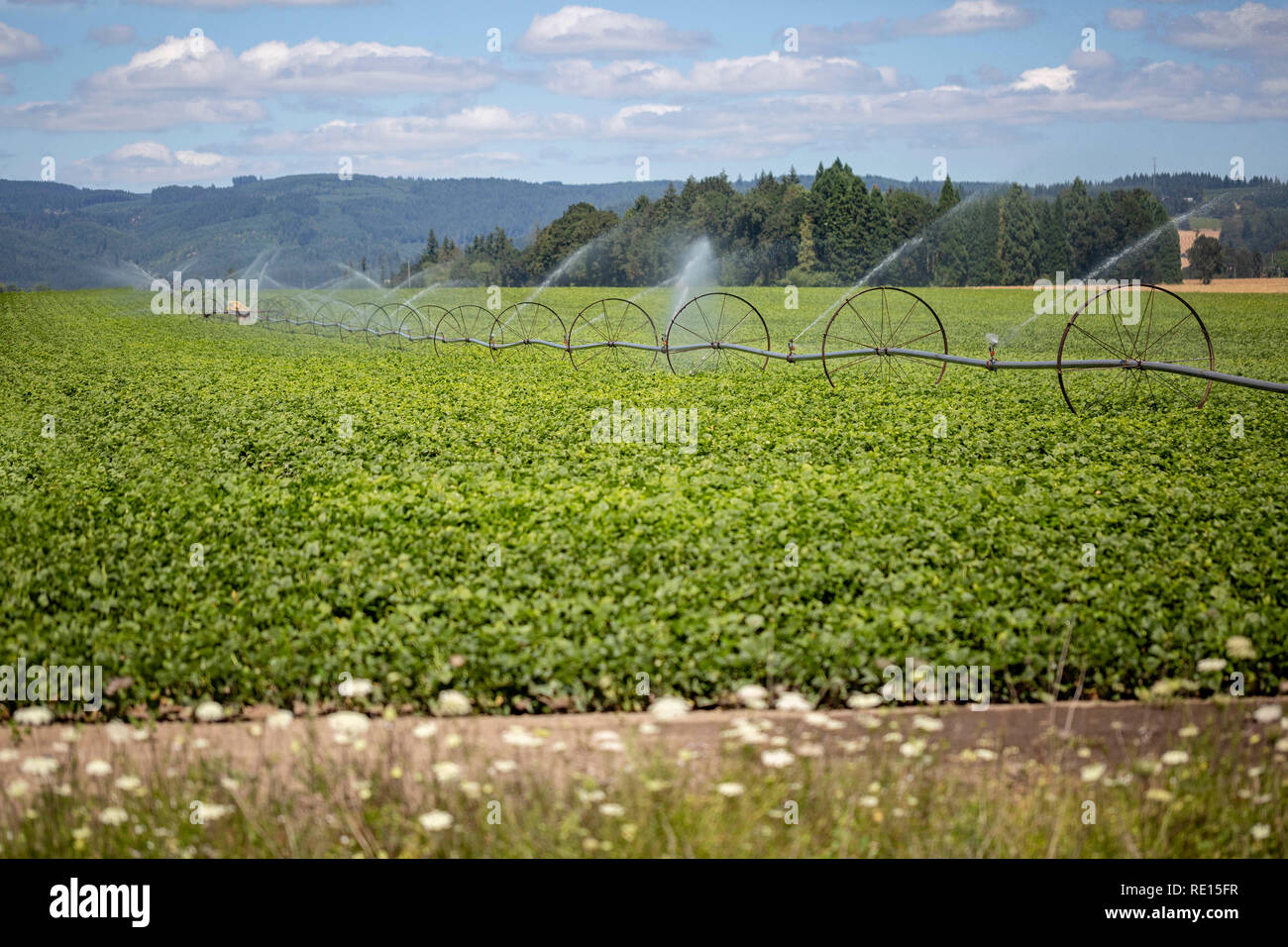 Sistema di irrigazione irrigazione fattoria di un campo Foto Stock