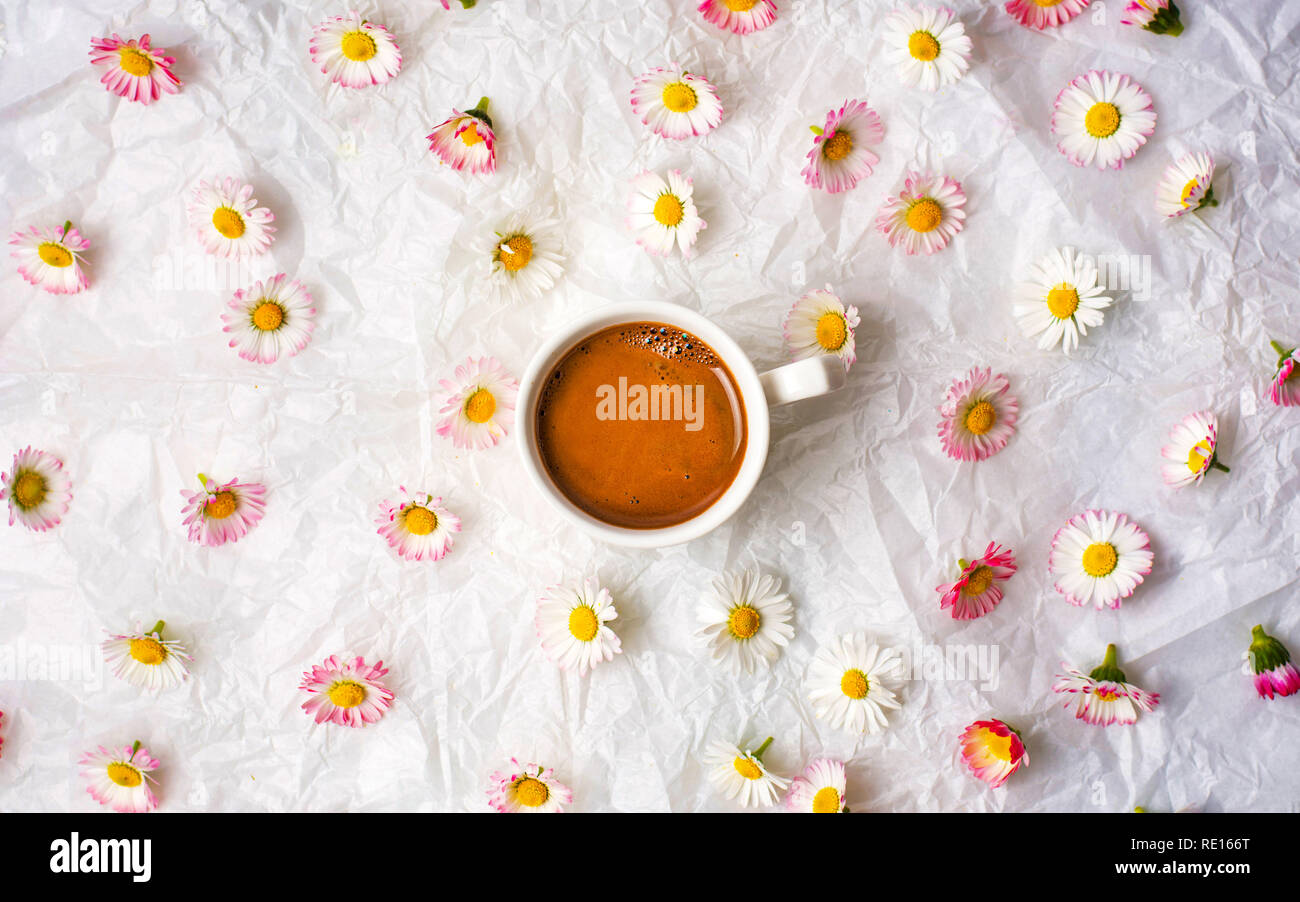 Tazza di caffè e fiori a margherita su bianco lenzuola Foto Stock
