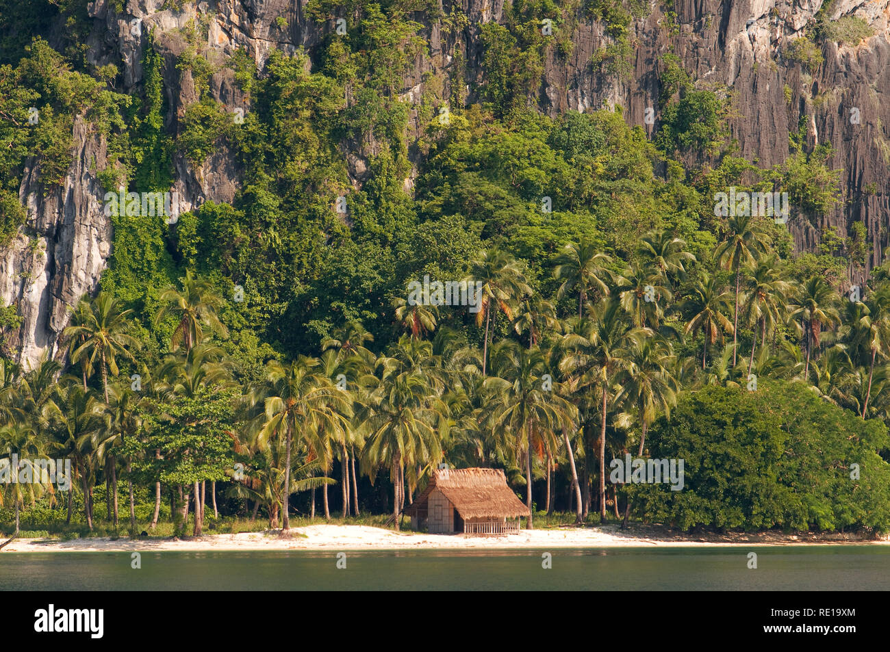 Legno di casa di pescatori su una spiaggia idilliaca sull'isola Comocutuan isola. Palawan Filippine Foto Stock