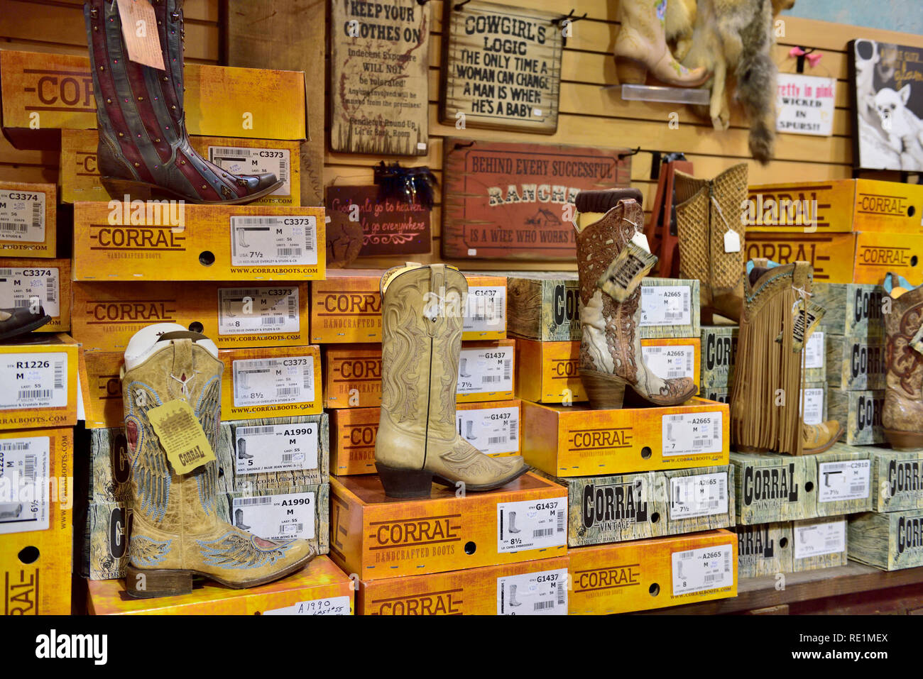 Western americano "cowboy" stivali stile sul display per la vendita in negozio, Arizona Foto Stock