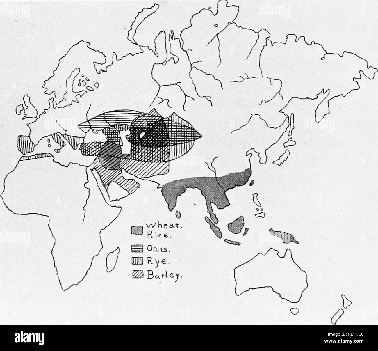 . College botanica; struttura, fisiologia e di economia di piante. La botanica. 252 COLLEGE botanica al più presto, ma ha ricevuto un grande impulso dall'Ariano migrazioni da Asia circa 2500 o 2000 anni a.c. (Fig. 116). Antica Agricoltura in America.-AGRICOLTURA ui ovest- ern emisfero non è vecchio come. nell'emisfero orientale, ma. Fig. 116.-mappa che mostra l'origine di alcuni dei nostri più importanti raccolti di grano. è stata praticata dagli aborigeni a lungo prima della venuta dell'uomo bianco. Esso ha raggiunto il suo massimo sviluppo in Messico e America centrale, Perù e regioni adiacenti. Siamo debitori alla Ame Foto Stock