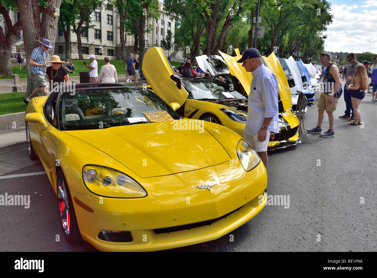 Automobili e visitatori presso la storica annuale Prescott Arizona tutte le Corvette Visualizza Settembre Foto Stock