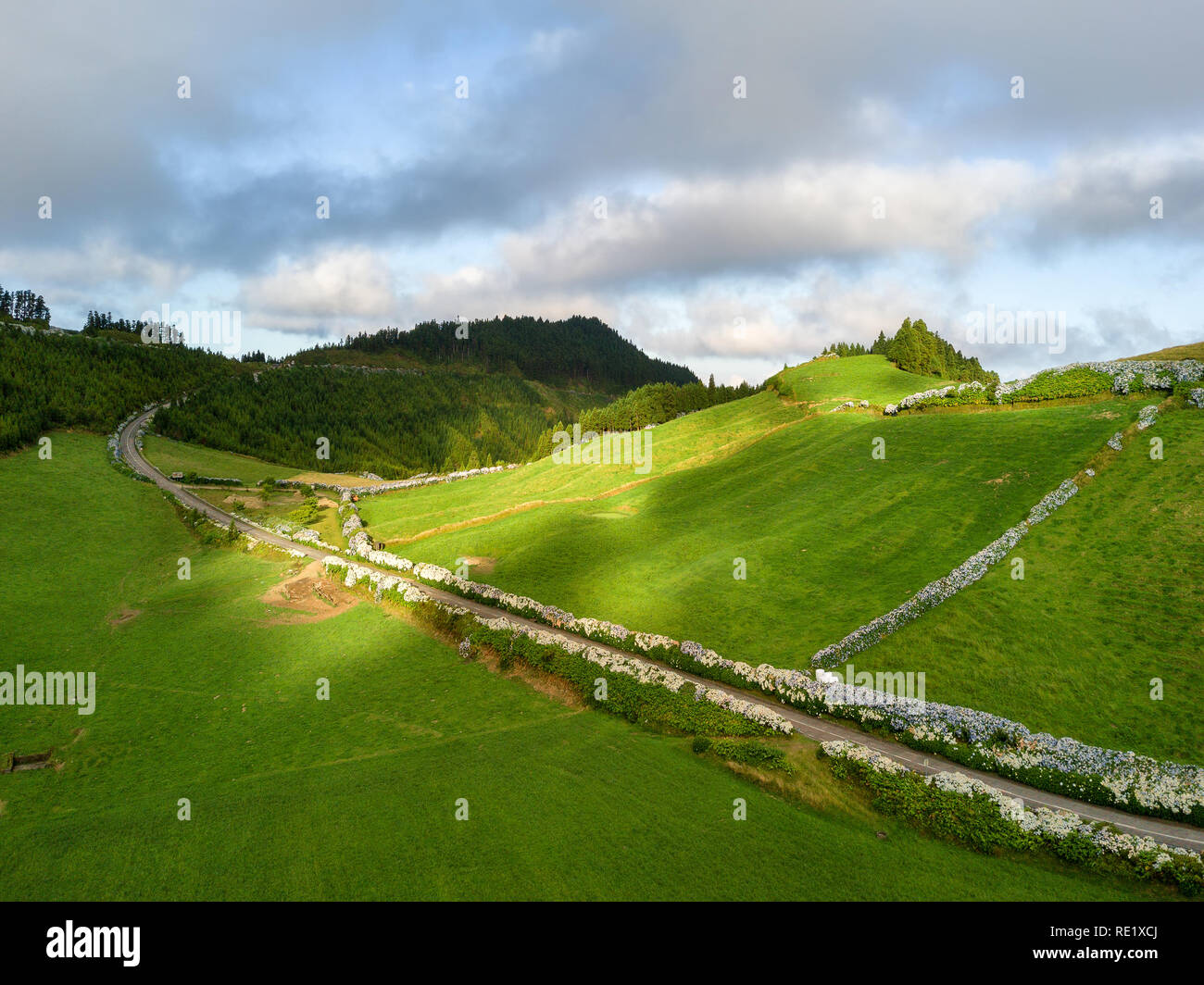 Drone vista incredibile paesaggio delle Azzorre. Fattoria di tè in campi verdi sulla costa nord di San Miguel island, Azzorre, Portogallo. Una prospettiva aerea, antenna Foto Stock