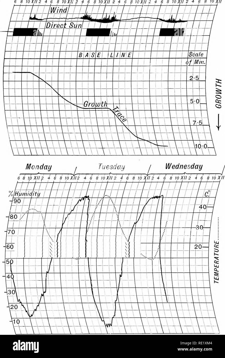 . Pianta del cotone in Egitto, studi in fisiologia e genetica. Cotone; cotone. f8 PIANTA DEL COTONE IN EGITTO cap. Lunedì / martedì io mercoledì ho -^-f I . , I , I r . t -7- ^ 1 . ." -R . Ho 10 ' XII2 4 S 8 10 Kll 2 f 6 8 10 XII S 4 S 8 10 XII 2 4 e un W XJI 2 4- 6 8 W XII. Umidità- riempire. ?J.i.-la crescita dello stelo. Sliouing- l'ambiente su 6-8 giugno, 111 7 giugno era anormalmente caldo. Ultima irrigazione il 28 maggio. KJ.. Si prega di notare che queste immagini vengono estratte dalla pagina sottoposta a scansione di immagini che possono essere state migliorate digitalmente per la leggibilità - Colorazione e aspetto di queste illustrazioni potrebbero non per Foto Stock