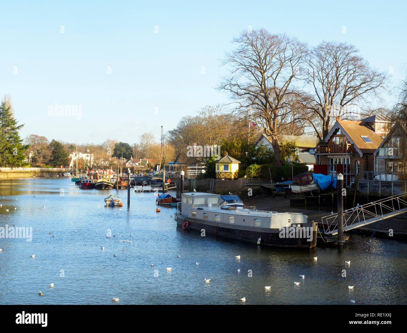 Eel Pie Island a Twickenham - Londra, Inghilterra Foto Stock