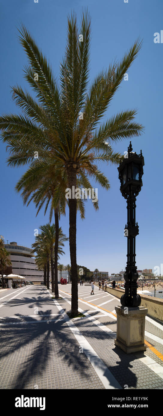 Palm e lanterna sul lungomare di Cadiz, Spagna Foto Stock