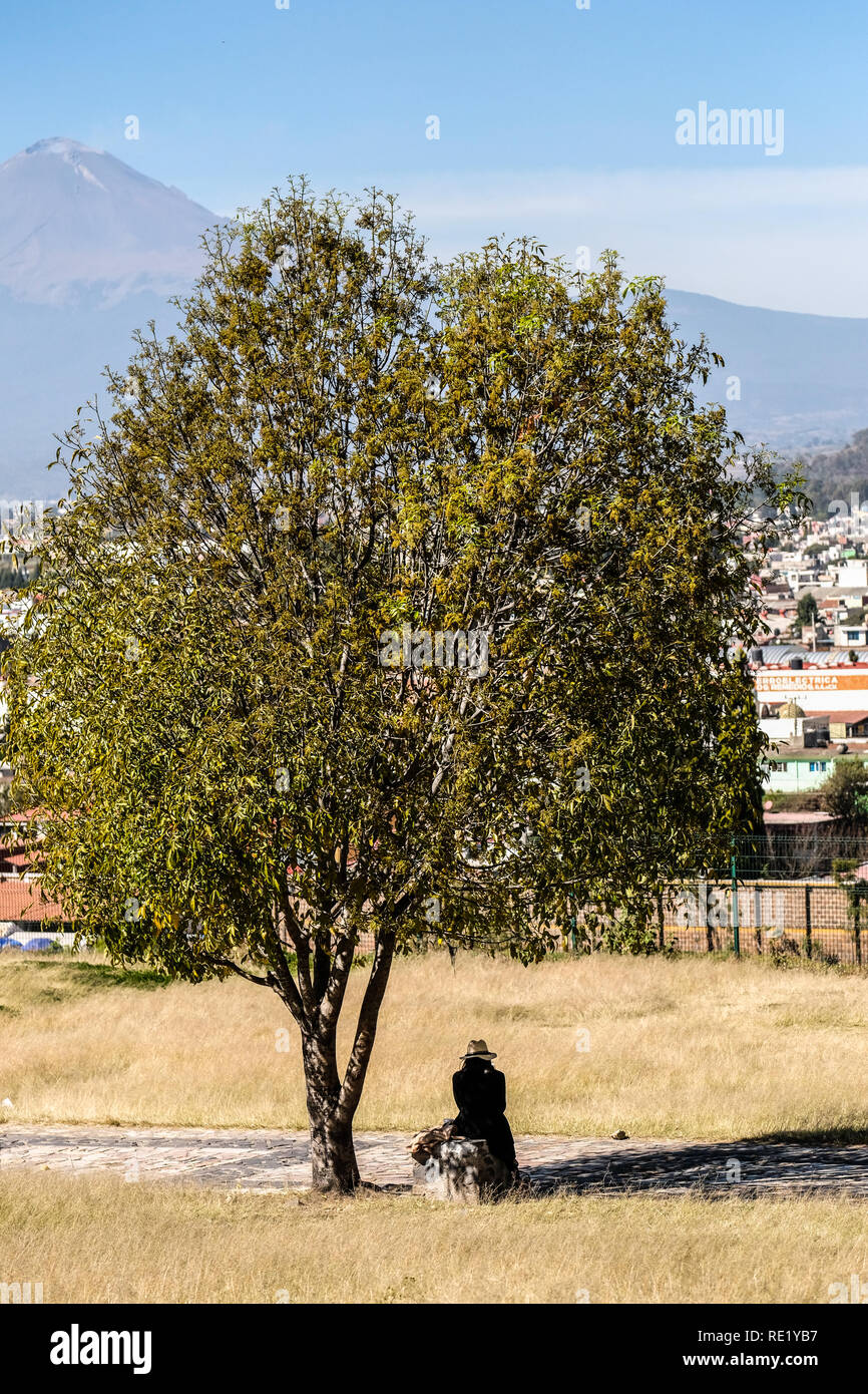 Una solitaria figura femminile seduto sotto un albero a Puebla, Messico Foto Stock