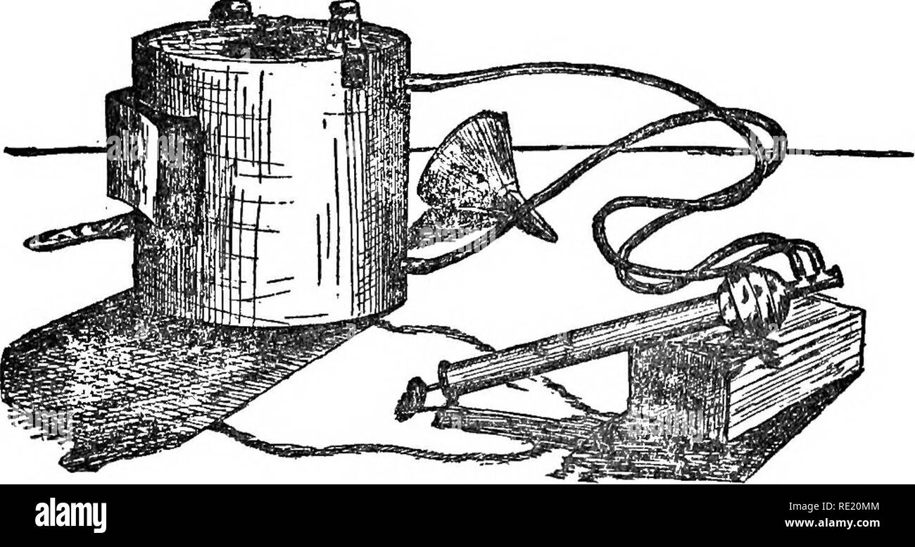 . Giardino dei profitti, big money in piccoli lotti. Giardinaggio di vegetale. MI88 giardino profitti eseguito senza l'uso di uno spray di buona pompa. Guardare per batterico, insetti e parassiti di tutti i tipi e spruzzare tutte le verdure che sono soggetti a batterico con miscela bordolese due volte nel corso del mese di giugno. Se il clima è molto asciutto o eccessivamente bagnato, spruzzare ogni settimana. Non aspettare per la piaga per mostrare se stessa, come nella maggior parte dei casi è quindi troppo tardi. Per mangiare gli insetti di tutti i tipi, veleno deve essere utilizzato. Ho sempre mescolare il veleno con il Bordeaux, che lo aiuta a stick per l'impianto. Prestare attenzione quando si. In questo conveniente tipo Foto Stock