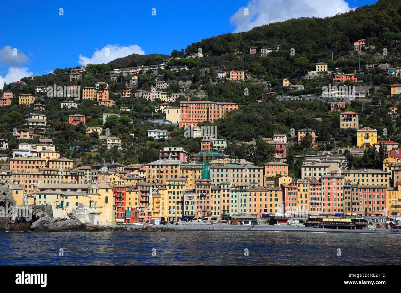 Camogli in provincia di Genova, sul Golfo Paradiso nella Riviera di Levante, fronte mare, Liguria, Italia, Europa Foto Stock