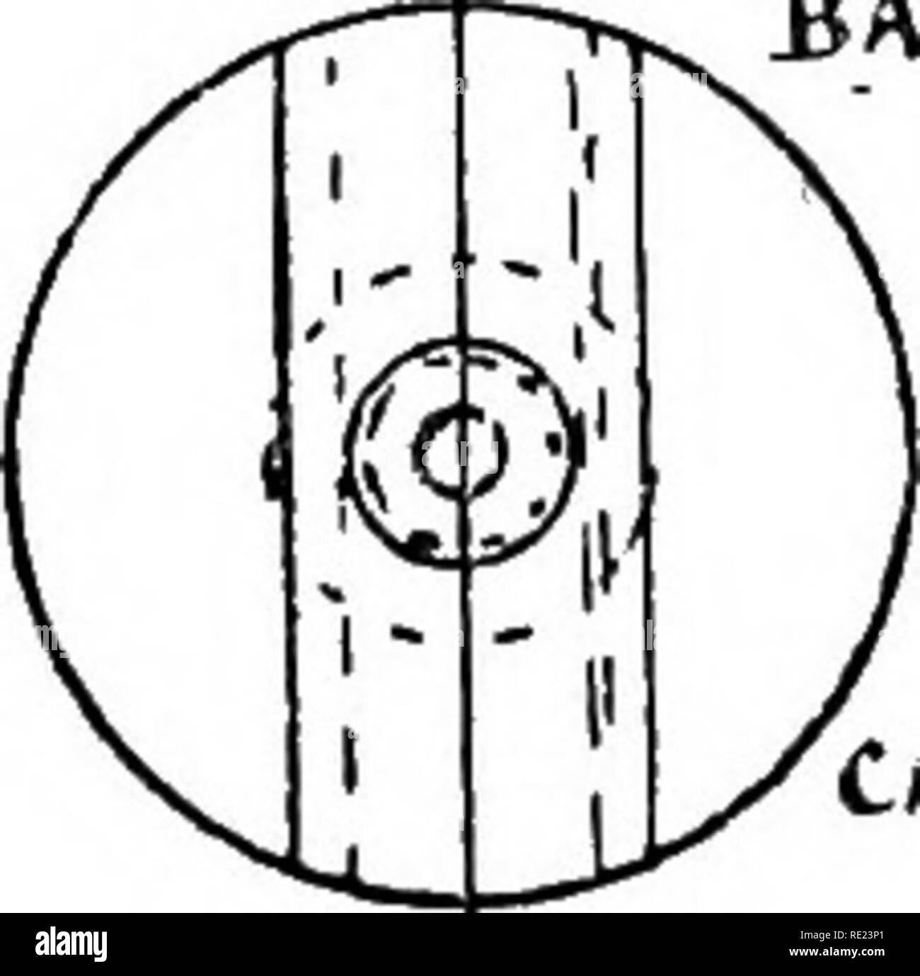 . La completa wildfowler. Gioco e Gioco-uccelli; caccia. BASX "Dettagli del caso delle custodie di cartuccia. Convertito M.L. Per Punt-Gun B.L.. Si prega di notare che queste immagini vengono estratte dalla pagina sottoposta a scansione di immagini che possono essere state migliorate digitalmente per la leggibilità - Colorazione e aspetto di queste illustrazioni potrebbero non perfettamente assomigliano al lavoro originale. Duncan, Stanley; Gabbiano, Cirillo Edward Ranger, 1876-1947. Londra, G. Richards, Ltd Foto Stock
