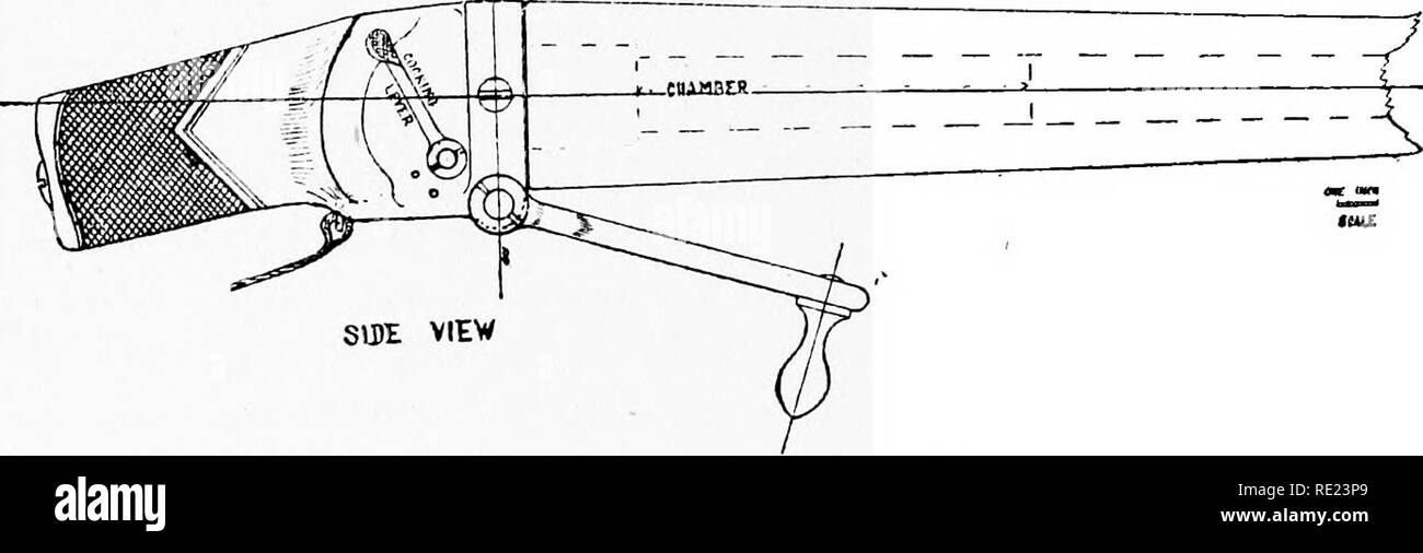 . La completa wildfowler. Gioco e Gioco-uccelli; caccia. Capitolo VII la conversione del muso a caricamento PUNT- pistole a culatta-caricamento culatta-caricamento pistole sono, senza dubbio, l'ordine del giorno in ogni classe di ripresa. Sebbene essi non hanno tali grandi vantaggi oltre il muso a caricamento punt-guns come molte persone immaginare, eppure essi sono tuttavia le armi usate oggi da una grande percentuale di dilettante wildfowlers.. Convertito M.L. Per Punt-Gun B.L. Le caratteristiche particolari di una culatta-caricamento punt-gun sono, per una maggiore comodità nelle operazioni di carico e la pulizia, e il potere di cambiare prontamente una cartuccia Foto Stock