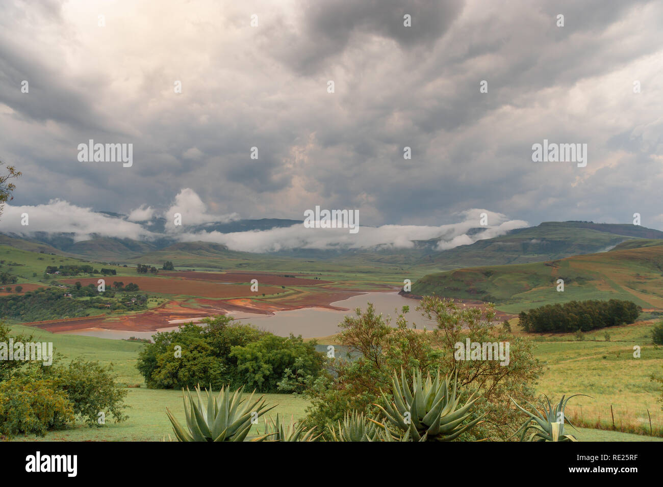 Cathkin Park, Drakensberg centrale, Kwazulu Natal, Sud Africa Foto Stock