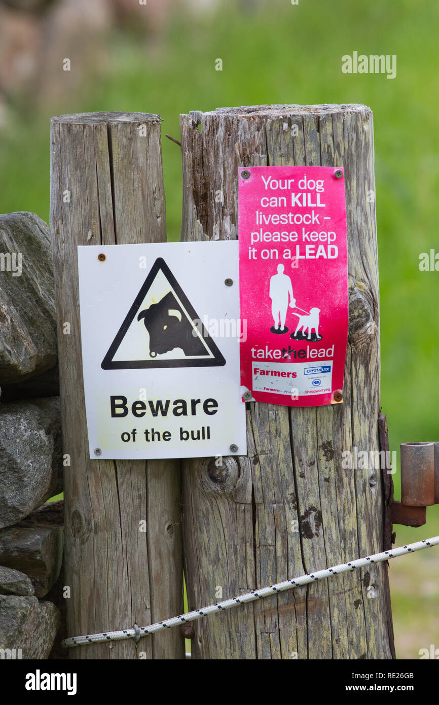 Cartelli di avvertimento. Diffidate di bull. Il vostro cane può uccidere animali-si prega di mantenere su un filo, per passeggiatori, ramblers, i proprietari di cani, utilizzando il sentiero. Il ​Isle di Iona, Ebridi Interne, costa ovest della Scozia. Foto Stock