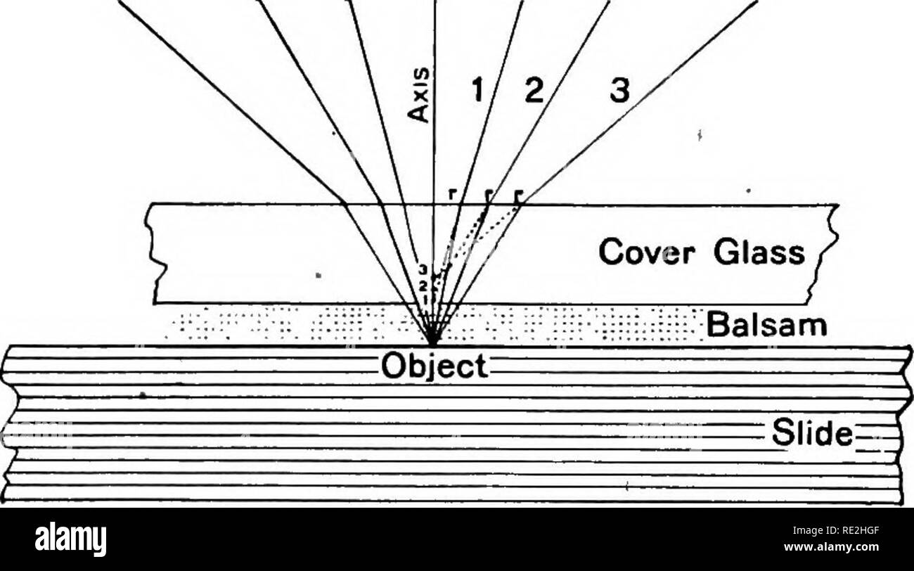 . Il microscopio; un'introduzione ai metodi microscopici e istologia. Microscopi. 286 tubo-Lunghezza e coperchio in vetro di spessore [CH IX. vetro. Se le lenti sono fissate in posizione l'obiettivo che wiU essere evidente che uno deve selezionare una copertura di vetro che è di spessore esatta per soddisfare la correzione dell'obiettivo. I creatori di obiettivi sono ora molto preciso in cui indicare con esattezza come spesso i coperchi devono essere per i loro obiettivi ed è parte della saggezza a prestare attenzione alle loro dichiarazioni se uno spera di ottenere il miglior ri- risultati. Se uno degli obiettivi dell sono regolabili (§ 134-135), è Foto Stock