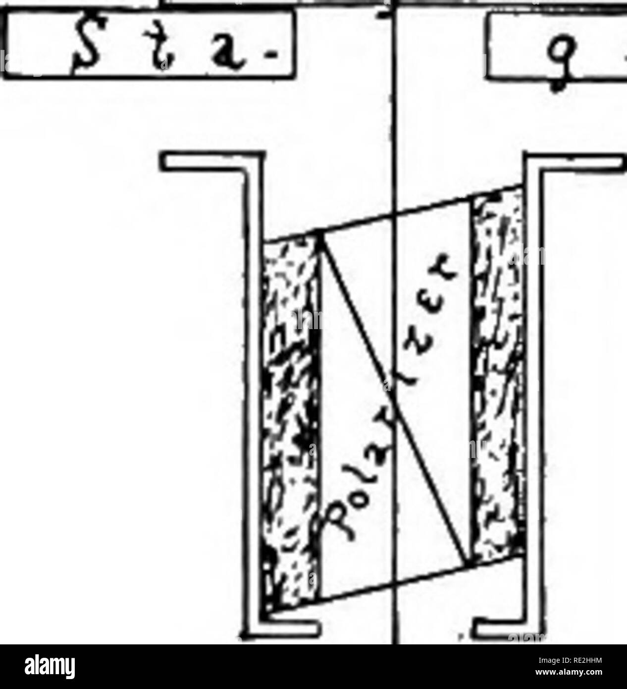 . Il microscopio; un'introduzione ai metodi microscopici e istologia. Microscopi.  Q2l I ? E I. •e't Fig. 150. MicRO-poLARiscopE in posizione sul microscopio. Polarizzatore il prisma di Nicol sotto il cavalletto del microscopio. Analyzer il prisma di Nicol sopra l'oculare. Stadio il cavalletto del microscopio. Oggetto di un oggetto su una diapositiva. Obiettivo L'obiettivo microscopico. , S la vite di fermo per bloccare l'analizzatore per il tubo del microscopio. La oculare oculare microscopico in posizione. Puntatore e scalare l'anello graduato e il puntatore per mostrare la quantità di rotazione. Una maniglia di sollevamento e di abbassamento Foto Stock